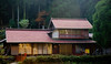 Suisenkyo : These were taken at and around Mike Barr's house (Suisenkyo) in the mountains just outside Kyoto City. This wonderful place is great for weekend getaways at a very reasonable price. The website with all the details can be found in the About section of the blue, drop-down menu at the top of this page.